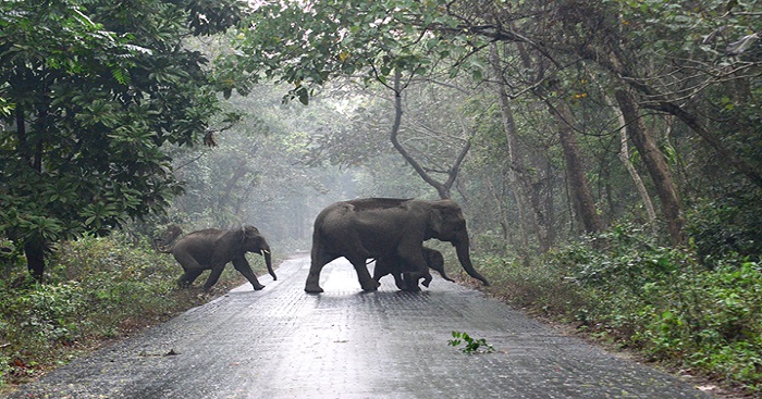 Sikkim Ride