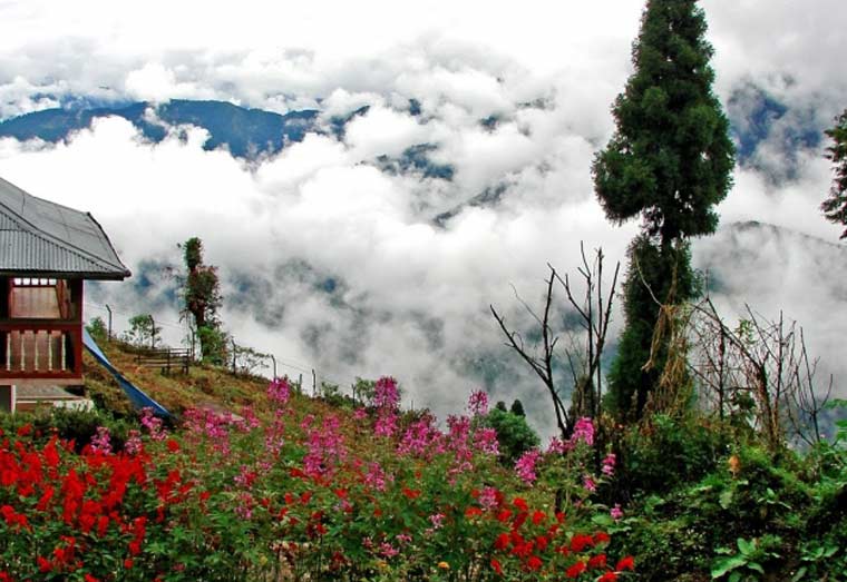 Buddha Park Ravangla