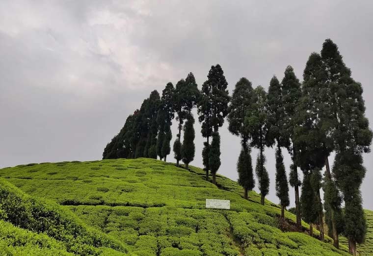 Gangtok Ropeway