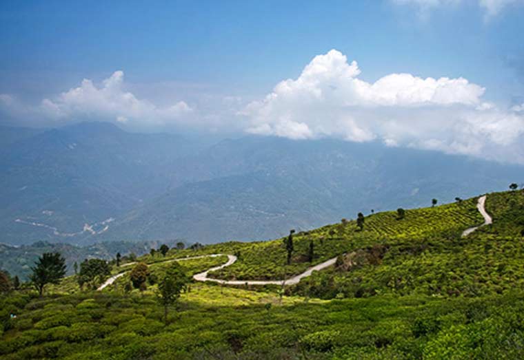 Gorumara National Park